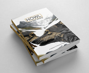HOWL New Irish Writing 24