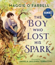 The Boy Who Lost His Spark by Maggie O'Farrell