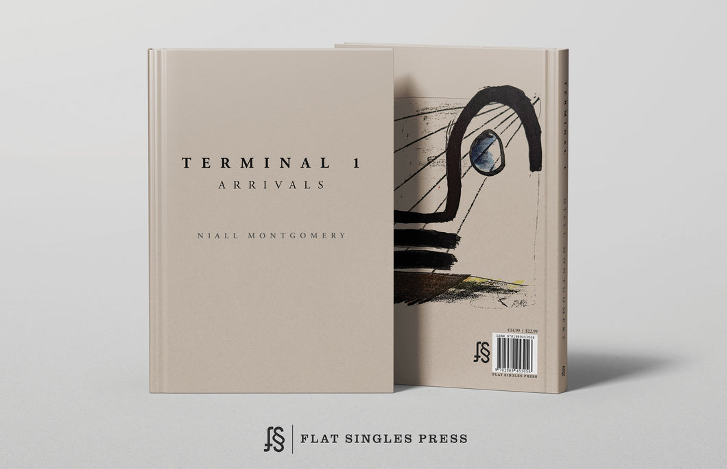 Terminal 1: Arrivals - Niall Montgomery