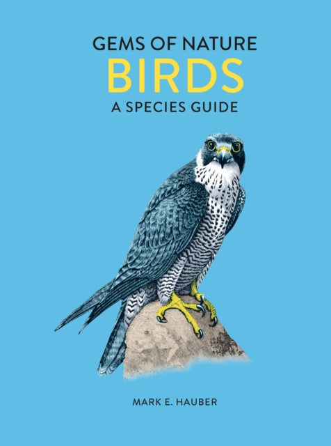 Birds : A Species Guide Volume 1 by Mark E. Hauber