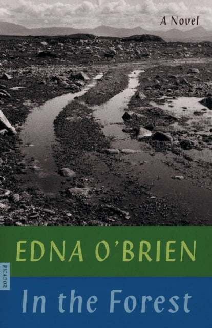 In the Forest : A Novel by Edna O'Brien