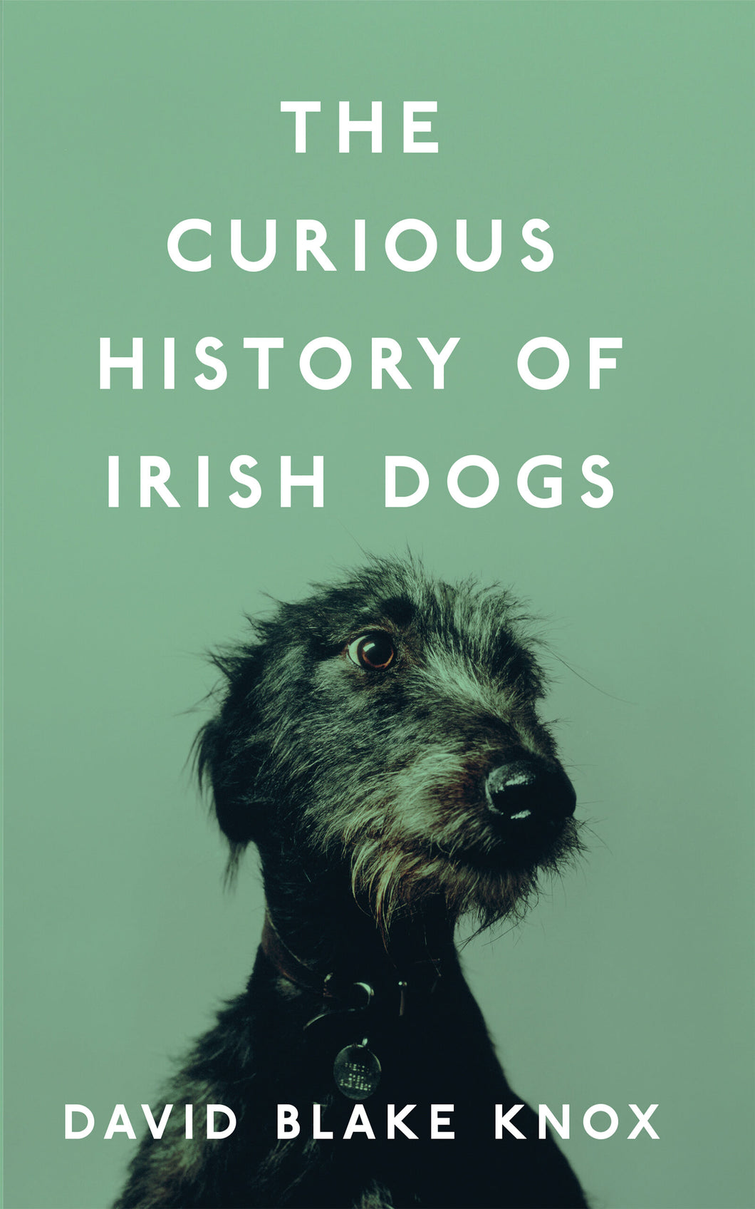 Curious History of Irish Dogs by David Blake Knox