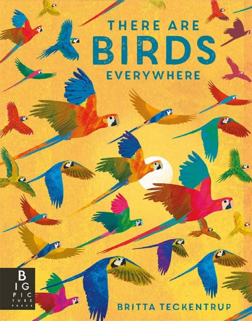 There are Birds Everywhere (hardback)