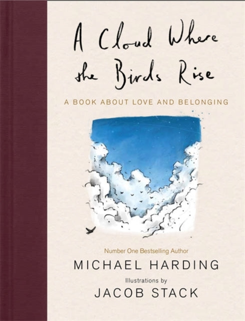 A Cloud Where the Birds Rise by Michael Harding