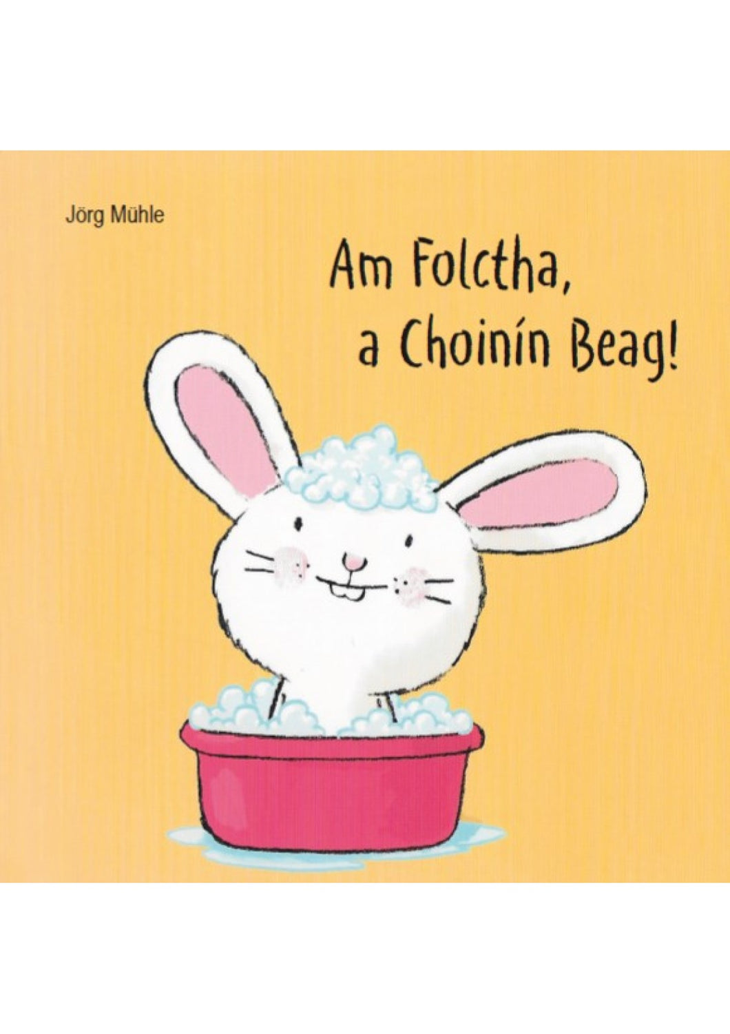 Am Folctha, a Choinin Beag (hardback)