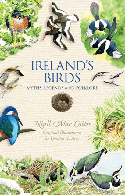 Ireland's Birds Myths, Legends and Folklore by Niall Mac Coitir