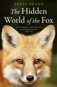The Hidden World of the Fox by Adele Brand  (Paperback)