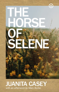The Horse of Selene by Juanita Casey