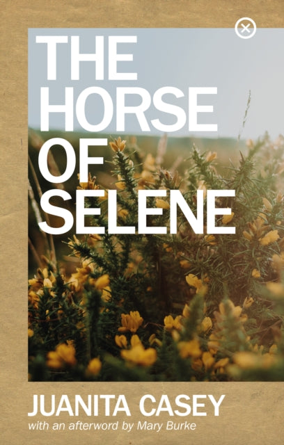 The Horse of Selene by Juanita Casey