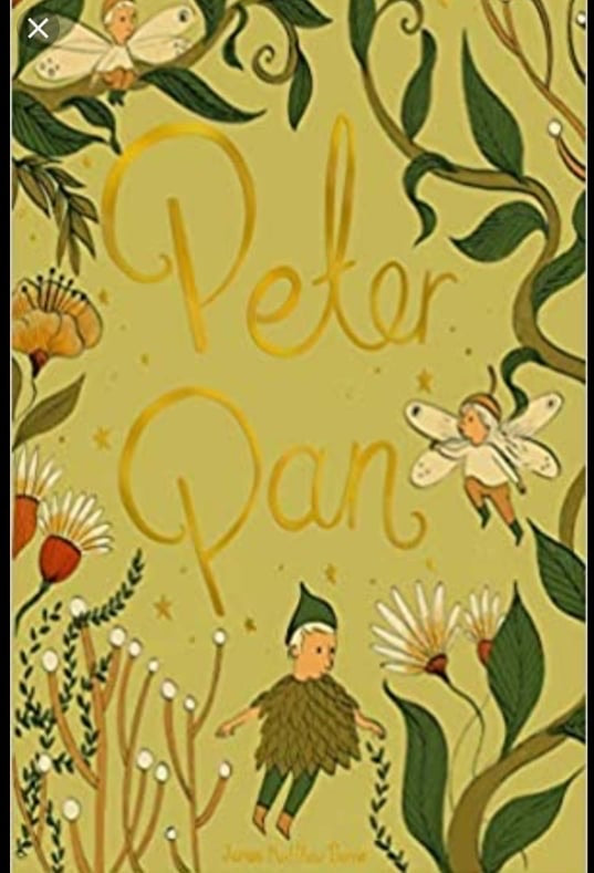 Peter Pan by J Barrie (Wordsworth Hardback)