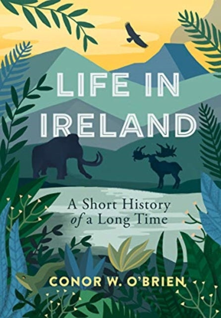 Life in Ireland : A Short History of a Long Time by Conor O'Brien