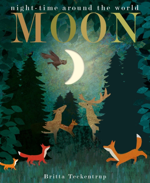 Moon by Britta Teckentrup