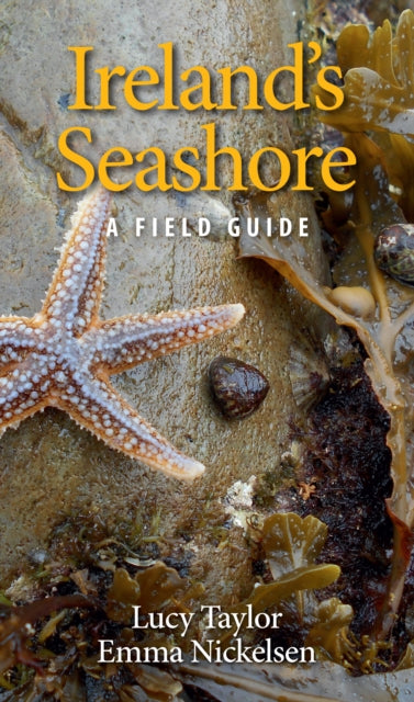 Ireland's Seashore A Field Guide by Lucy Taylor