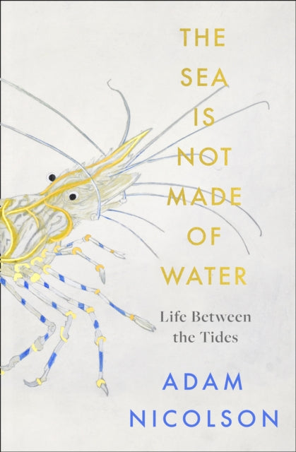 The Sea is not made of Water